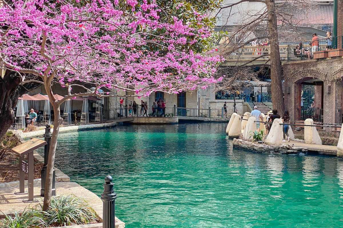 The San Antonio Riverwalk in the Spring-Outings with a Person Living with Dementia
