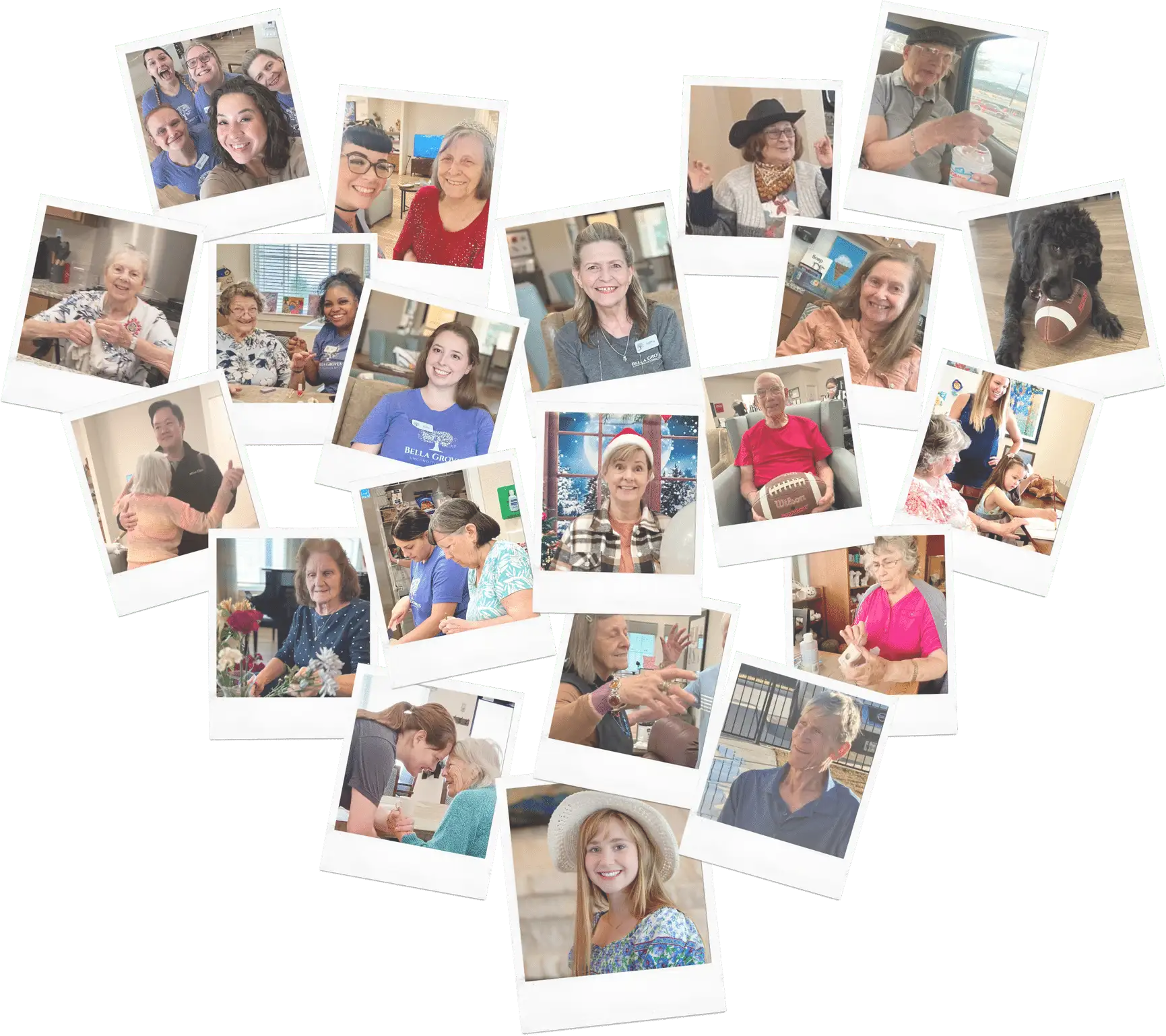 Collage of images from Bella Groves