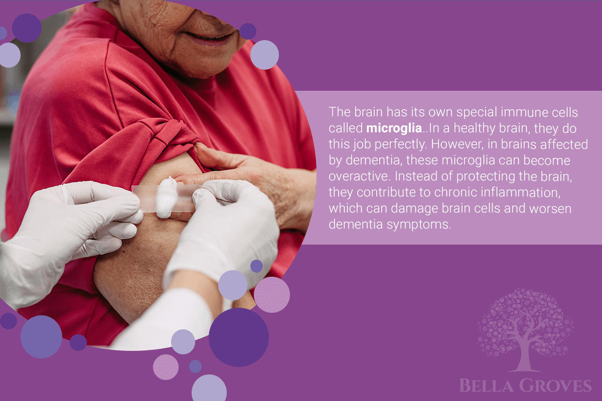 dementia and immune system connection